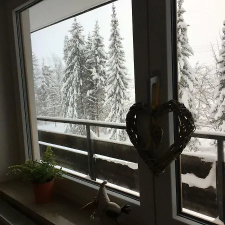 Appartement Karwendel-lodge