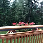 Karwendel-lodge Апартаменты