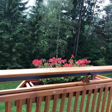 Karwendel-lodge Apartman