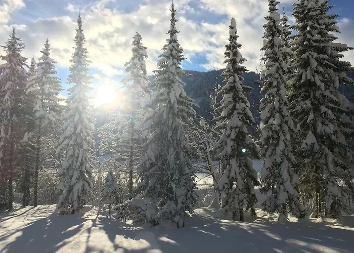 Karwendel-lodge * Scharnitz